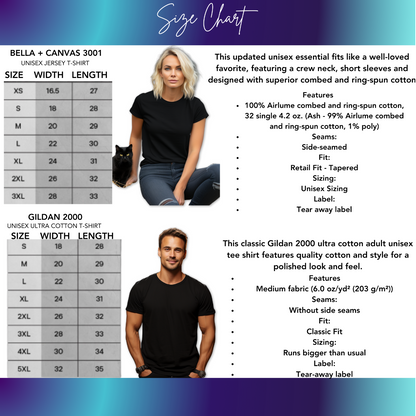 Bella + Canvas 3001 Unisex Jersey T-Shirt product type