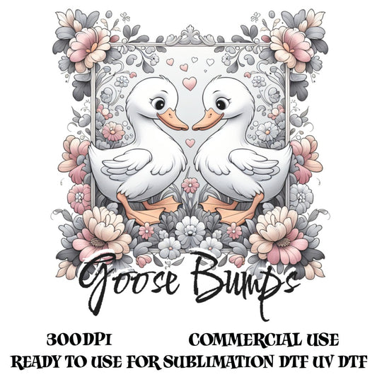 Cute Duck Couple Digital Graphic, Floral Frame, Commercial Use, Sublimation Design, Romantic Ducks Illustration, Printable Art 300dpi